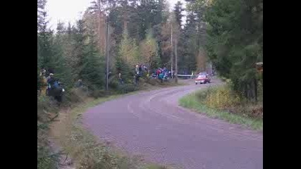 Рали