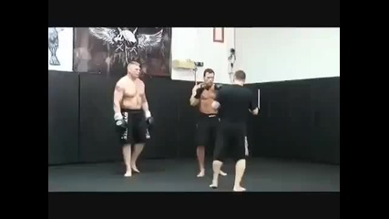 Brock Lesnars 2010 