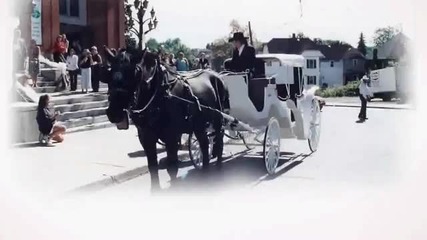 Grigoris Bithikotsis Ena Amaxi Me Dyo Aloga - A beautiful carriage with two horses© 