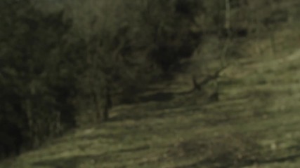 Maia Vidal - Follow Me(hq)
