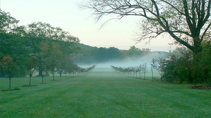 Есенна мъгла - пейзажи