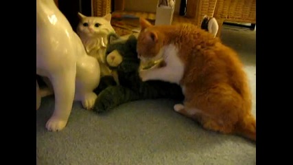 Котка си играе с котка играчка