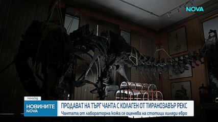 Чанта от лабораторна кожа на тиранозавър Рекс отива на търг в Париж
