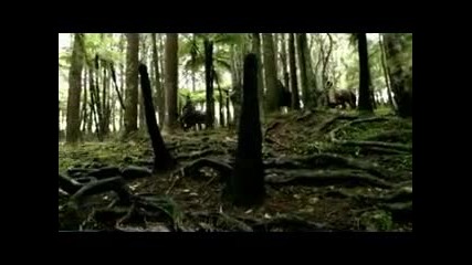 Мечът На Истината сезон 1 еп 14 част 1 