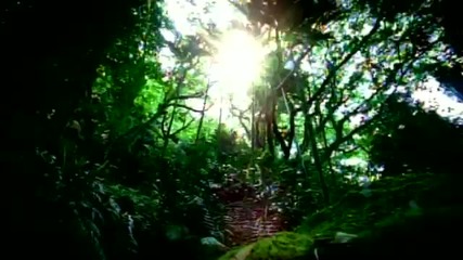 Jennifer Lopez - Waiting For Tonight