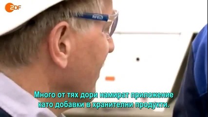 Опасен ламтеж 2 от 3