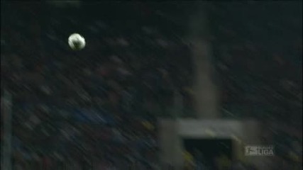 19.02.2010 г. Хофенхайм - Борусия Мьонхенгладбах 2 - 2 