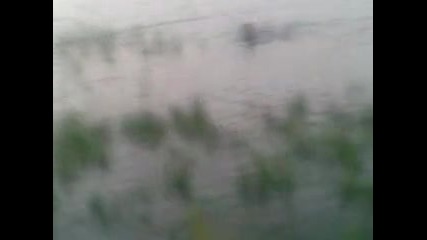 piqn bai mitko - pqsu4nik 5