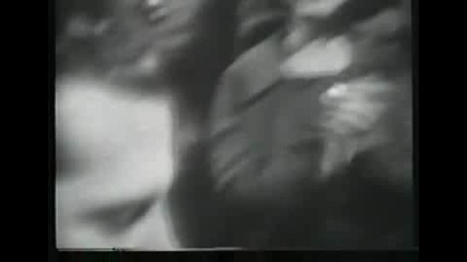 Jerry Lee Lewis - High Heel Sneakers