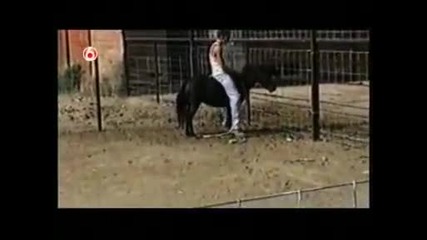 Americas Funniest Home Videos part 349