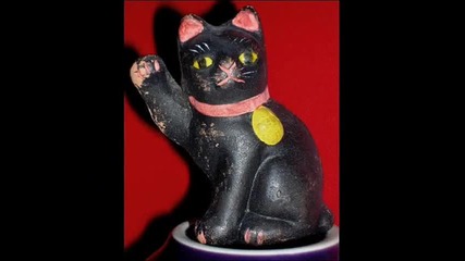 Нинджи котки, Смях 