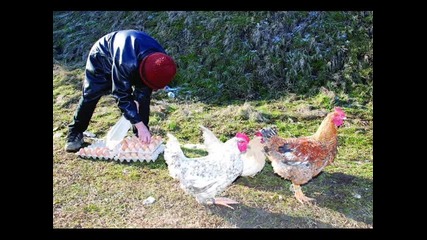 Христо Лунджов - Баба ми пойде на пазаро