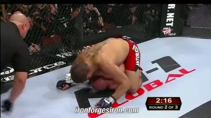 Fedor Emelianenko vs Antonio Bigfoot Silva