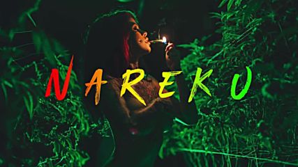 Nareku - Ragga Mix Reggae Raggastep Dub