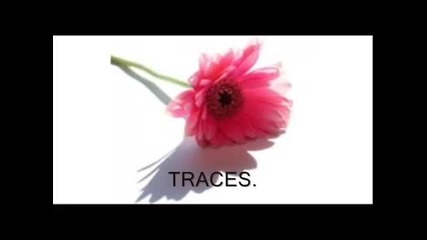 Dennis Yost / Classics Iv - Traces