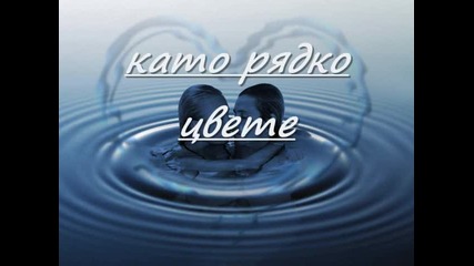 For Didinka 0001