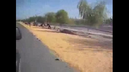 Толкова царевица не сте виждали 