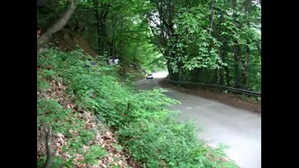 Рали Вида 2009