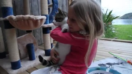 Сладко котенце