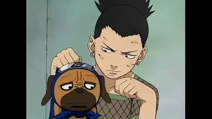 Shikamaru xd
