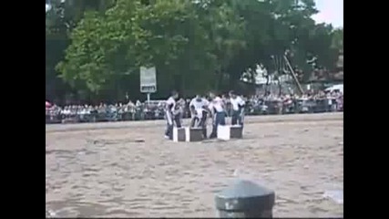 На този кон май не му се скача днеска