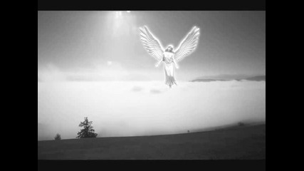 Subway To Sally - Angelus - Kreuzfeuer (2009)