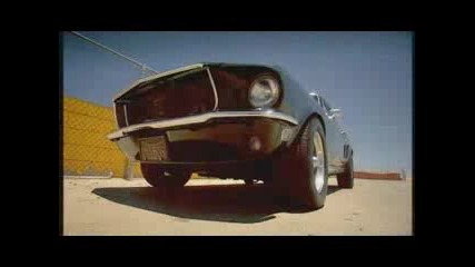 Mustang Rush Vs. Mustang Shelby