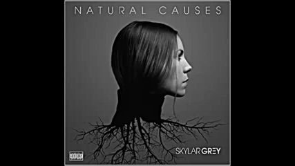 *2016* Skylar Grey - Picture Perfect