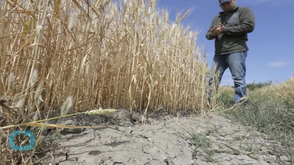 California Orders Large Water Cuts for Farmers