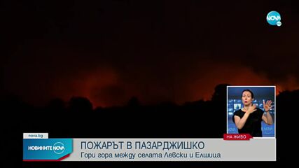 Голям пожар бушува в Пазарджишко