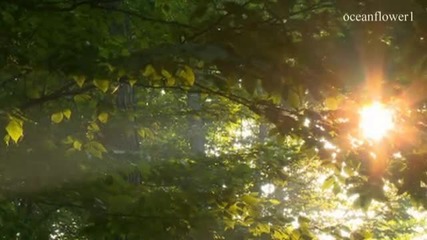 Георге Замфир - Медитация от Тайланд