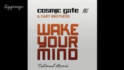 Cosmic Gate ft. Cary Brothers - Wake Your Mind ( Tritonal Remix ) [high quality]