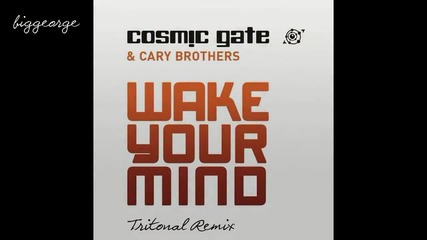 Cosmic Gate ft. Cary Brothers - Wake Your Mind ( Tritonal Remix ) [high quality]