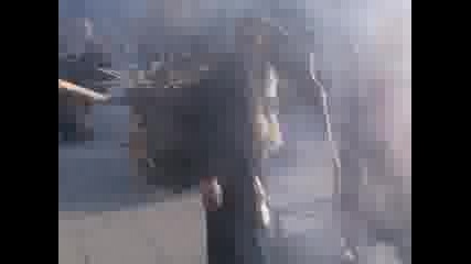 surva plaja 2011