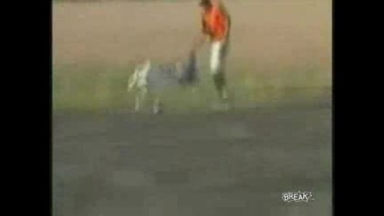 Самолет Губи Крило По Време На Полет