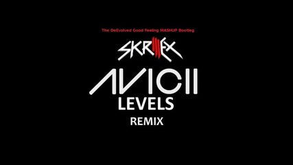Skrillex Remix ( Good Feeling ) !