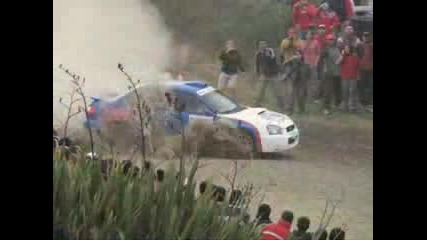 Rally Valdivia 2007