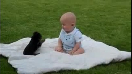 Сладко кученце си играе със сладко бебе {}{}{}