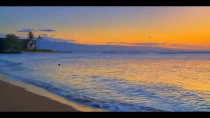 Красотата на природата, Max Melvin - Seaside