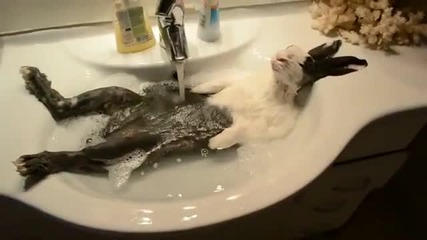 Ох баня, ох кеф!