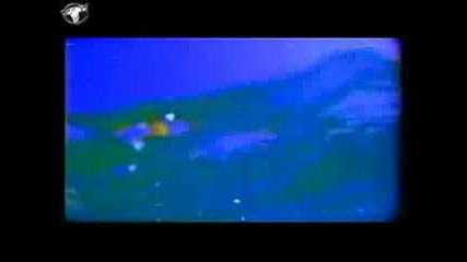C - Block - Broken Wings