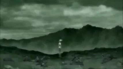 Darker Than Black /amv/
