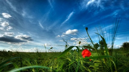 Andy Blueman - Florescence (intro Mix) 