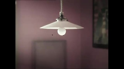 Minuscule - Dvd4 - Part12
