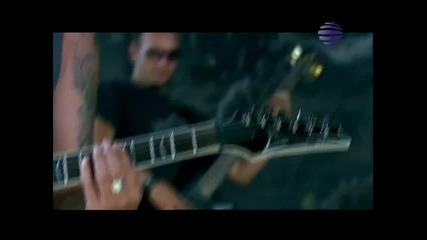 Преслава - Феномен (h Q) 