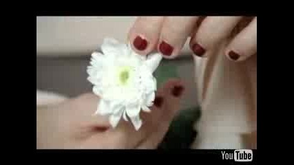 The Maccabees - First Love Video