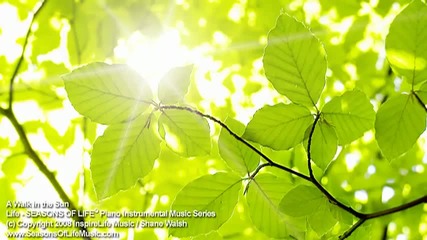 A Walk in the Sun - uplifting piano by Shane Walsh 