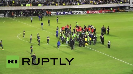 Argentina: Pepper sprayed River Plate players evacuated from Boca's stadium