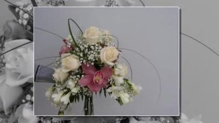 Bridal 2011