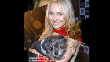 Hayden Panettiere